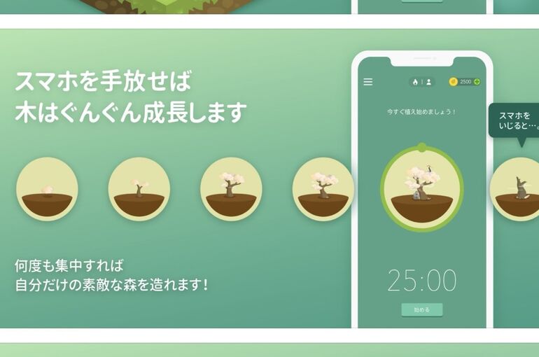 forest１