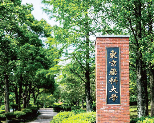 東京薬科大学　合格実績　個別塾