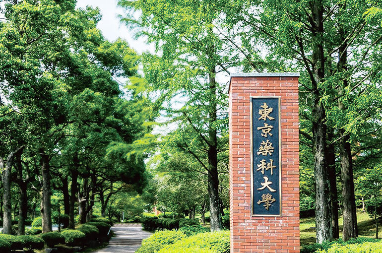 東京薬科大学　合格実績　個別塾